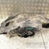Підкрилок передній правий BMW 5 (F10/F11) 2009-2016 51717186728 318689 - 3
