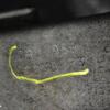 МКПП (механічна коробка перемикання передач) 5-ступка Renault Kangoo 1.9D 1998-2008 JB1968 352062 - 12