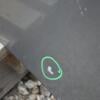 Капот (дефект) Kia Sportage 2004-2010 664000Z000 357296 - 7
