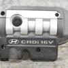 Накладка двигуна декоративна Hyundai Santa FE 2.0crdi 2000-2006 2924027101 361717 - 3