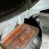Двигатель Renault Megane 1.6dCi (III) 2009-2016 R9M 402 IT-362274 - 10
