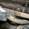 Двигатель Opel Vectra 1.6 16V (C) 2002-2008 Z16XE 366756 - 12