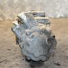 Компресор кондиціонера Renault Duster 1.6 8V 2010 926000097R 373112 - 6