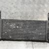 Радіатор інтеркулера Nissan Pathfinder 2.5dCi 2004-2015 144615X00A 373270 - 4