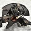 Поворотный кулак левый с ABS в сборе ступица Mazda CX-7 2007-2012 L20633030A 374761 - 4