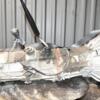 МКПП (механическая коробка переключения передач) 4х4 5-ступка Toyota Land Cruiser Prado 3.0td (120) 2002-2009 330306A610 374882 - 8
