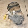 Компрессор кондиционера Mini Cooper 1.6 16V (R56) 2006-2014 6942501 375967 - 6