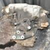 МКПП (механічна коробка перемикання передач) 5-ступка Opel Combo 1.8 16V 2001-2011 F17C419 376385 - 11