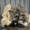 МКПП (механічна коробка перемикання передач) 5-ступка Opel Astra 1.6 16V (H) 2004-2010 F17C394 377170 - 7