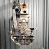 Двигун Renault Espace 1.9dCi (IV) 2002-2014 F9Q 804 379923 - 9