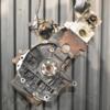 Двигун Renault Kangoo 1.9dCi 1998-2008 F9Q 790 381018 - 9