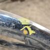 Решетка радиатора 10- (дефект) Volvo C70 2006-2013 31290862 385100 - 5