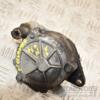 Вакуумний насос Land Rover Freelander 2.0td (I) 1998-2006 2248170 386459 - 3