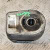 Теплообмінник (Радіатор масляний) 05- Renault Kangoo 1.5dCi 1998-2008 8200779744 387654 - 3