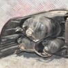 Фонарь правый (дефект) SsangYong Actyon 2006-2011 389999 - 6