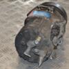 Компрессор кондиционера VW Sharan 1.9tdi 1995-2010 7M3820803A 394183 - 6