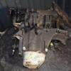 МКПП (механічна коробка перемикання передач) 5-ступка Volvo V40 1.9di 1995-2004 JC5225 396406 - 11