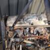 Двигатель Ford Connect 1.8tdci 2002-2013 FFDA 396688 - 11