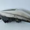 Права фара Ford Kuga 2.0L Duratorq-TDCi 2012-2019 GV41-13D154-AH it-13633 Дизель - 11