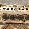 Головка блоку Citroen Nemo 1.3MJet 2008 55231550 403967 - 12
