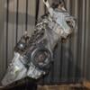 Двигатель Mercedes A-class 2.0cdi (W169) 2004-2012 OM 640.940 408342 - 7