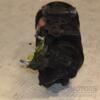 Компрессор кондиционера (дефект) Citroen DS3 1.6hdi 2009-2015 9675655880 410681 - 6