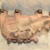 Коллектор выпускной VW Golf 1.6 8V (V) 2003-2008 06A253033AS 412529 - 4
