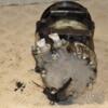 Компресор кондиціонера Citroen Berlingo 1.6hdi 2008 SL7C16 415397 - 6