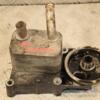 Теплообменник (Радиатор масляный) Ford Connect 1.8tdci 2002-2013 2M5Q6L686AB 415806 - 3