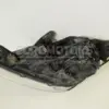 Правая фара SsangYong Rexton 2.2 XDI 2012-2017 83102-08C00 it-15107 Дизель - 11