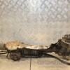 Рулевая рейка с ЭУР VW Golf (V) 2003-2008 1K1423051DL 421603 - 4