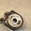 Теплообменник (Радиатор масляный) Citroen Berlingo 1.9D 1996-2008 9650863480 426637 - 4