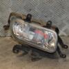 Фара противотуманная правая Hyundai Terracan 2001-2007 427345 - 3