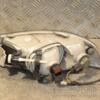 Фара протитуманна права 09- Skoda Octavia (A5) 2004-2013 1Z0941700C 427925 - 4
