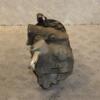 Компресор кондиціонера Skoda Fabia 1.2 12V 2007-2014 6Q0820808E 432233 - 6