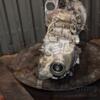 МКПП (механічна коробка перемикання передач) 6-ступка Subaru Forester 2.0d 2008-2012 TY756W1ZAB 433566 - 9