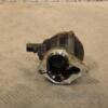 Вакуумний насос Renault Kangoo 1.9dCi 1998-2008 8200072985 433923 - 4