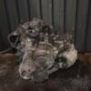 МКПП (механічна коробка перемикання передач) 6-ступка Audi A3 2.0tdi (8P) 2003-2012 GRF 435799 - 9