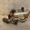 Охладитель ОГ (Радиатор EGR) 06- Renault Master 2.5dCi 1998-2010 A2C53089287 440065 - 3