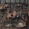 Блок двигателя в сборе Renault Trafic 2.0dCi 2001-2014 441461 - 9