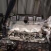 Двигатель Citroen Jumpy 2.0jtd 8V 1995-2007 RHX 441556 - 11