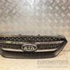 Решітка радіатора Kia Carens 2006-2012 8638010000 446461 - 3