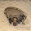 Фара правая Lexus RX 2003-2009 446672 - 4