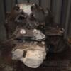 МКПП (механічна коробка перемикання передач) 5-ступка Opel Astra 1.6 16V (H) 2004-2010 F17C394 448027 - 9