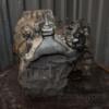 МКПП (механическая коробка переключения передач) 5-ступка Ford Connect 1.8tdci 2002-2013 7T1R7002CC 451935 - 9