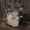 МКПП (механічна коробка перемикання передач) 5-ступка Opel Meriva 1.7cdti 2003-2010 F23 453576 - 8