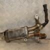 Охолоджувач ОГ (Радіатор EGR) Renault Clio 1.5dCi (IV) 2012 147357324R 455882 - 4
