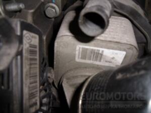 Теплообмінник (Радіатор масляний) Renault Megane 1.5dCi (III) 2009-2016 13503