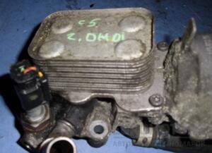 Теплообмінник (Радіатор масляний) Citroen C5 2.0hdi 16V 2008-2017 21245