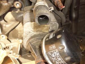 Теплообменник (Радиатор масляный) 05- Renault Kangoo 1.5dCi 1998-2008 8200267937 51959